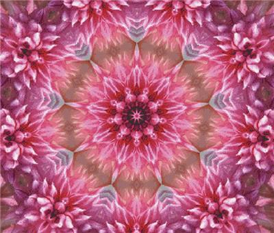 (image for) Fractal Flower